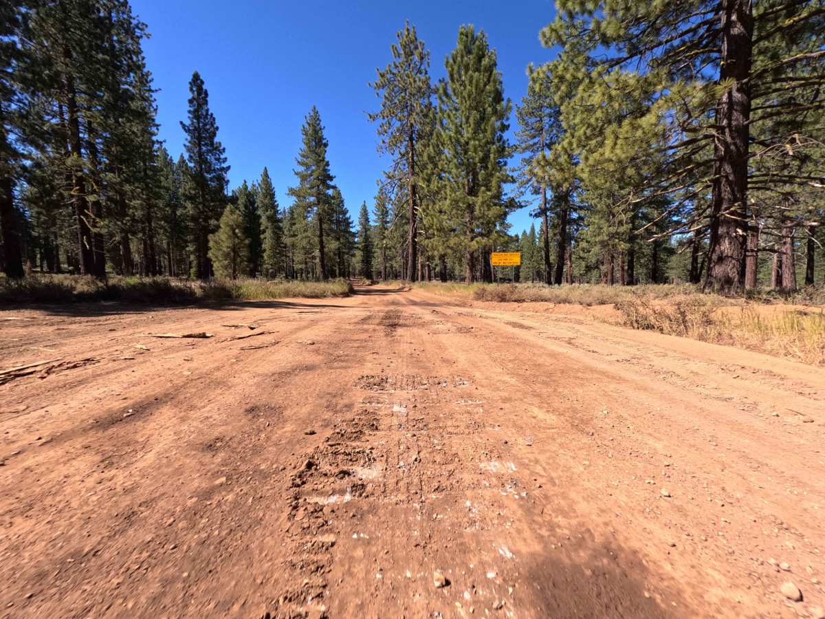 Sawtooth - FS 6 photo 6
