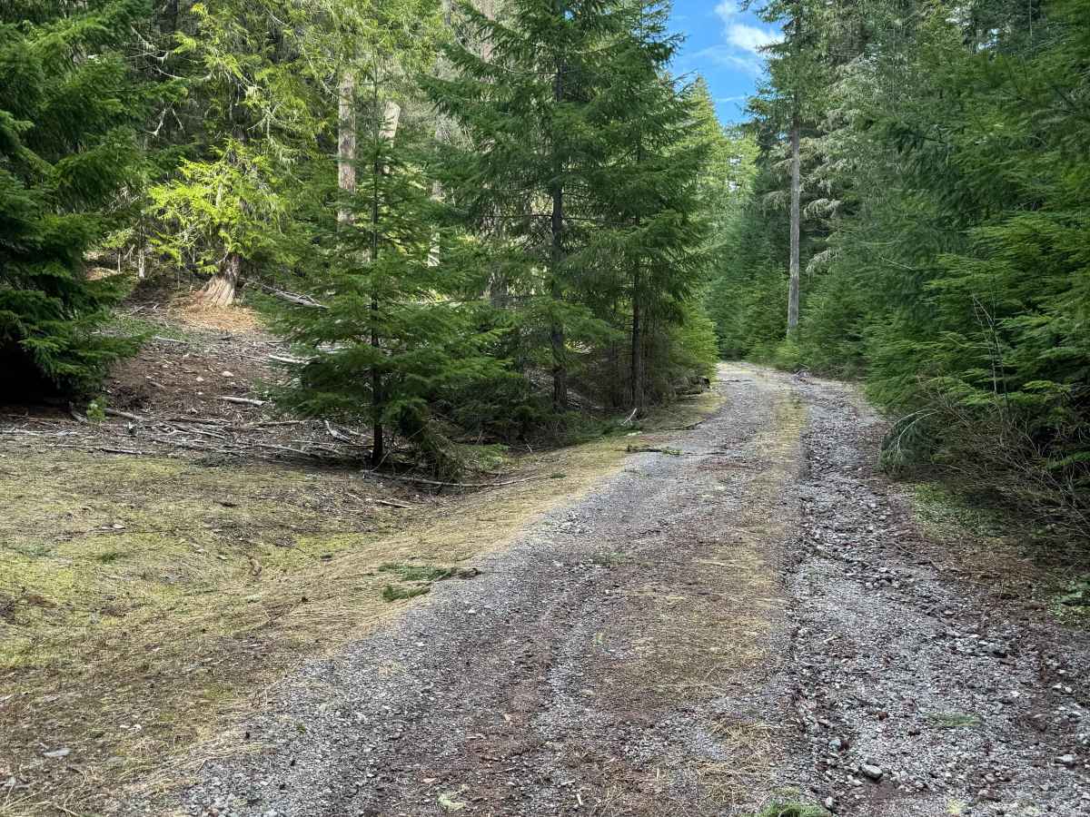 Cort Road- FS 1276 photo 3