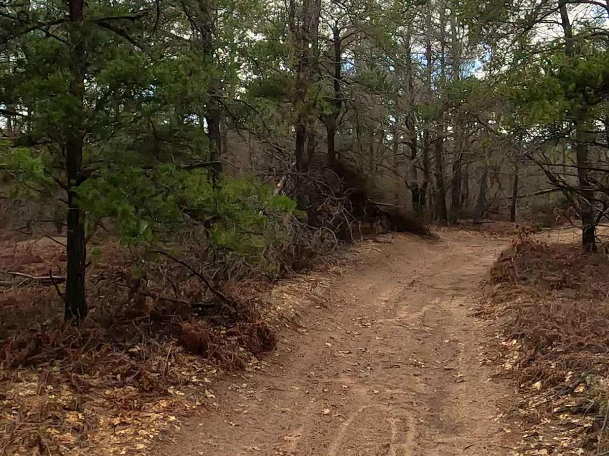 Bull Gap - ORV H57 photo 5