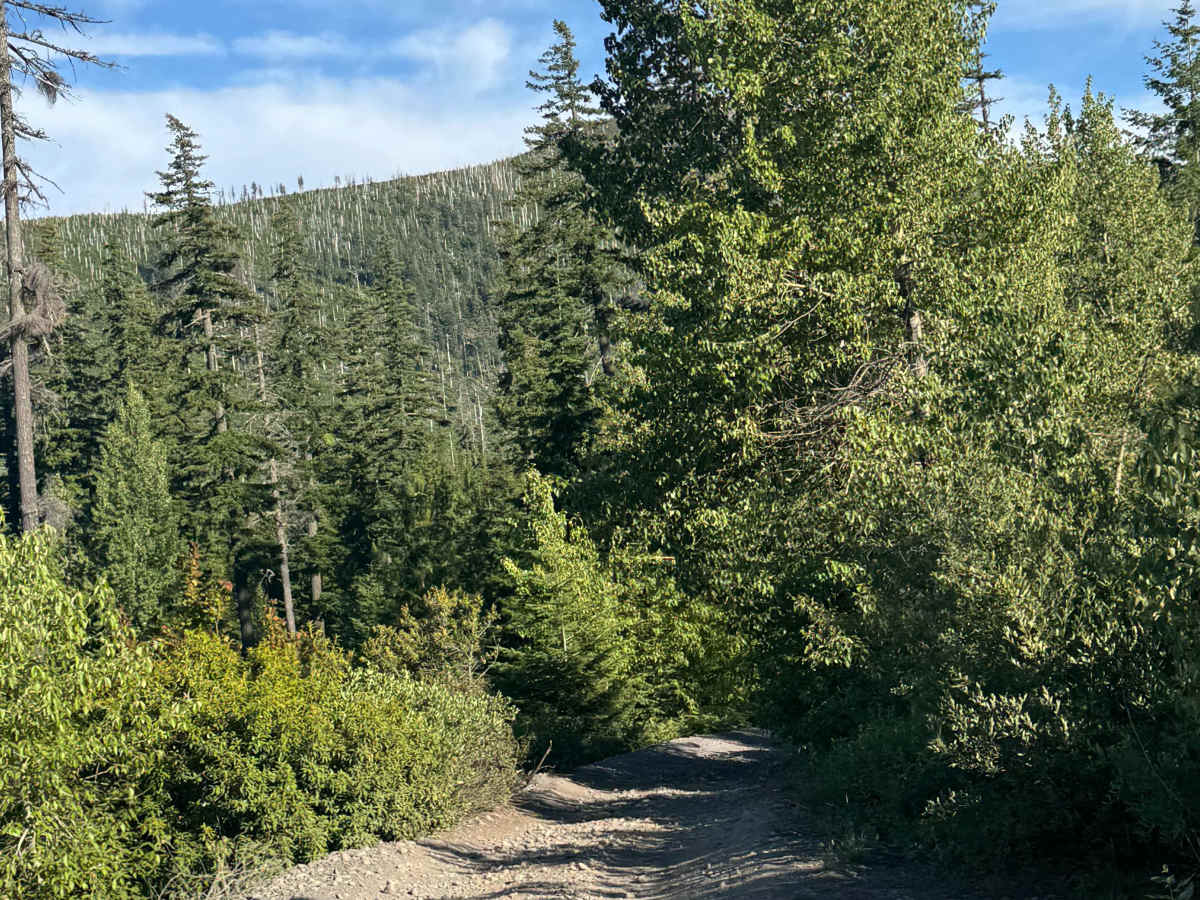 FS 2076-600 photo 5