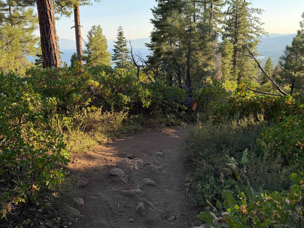 Rise and Shine (Upper) trail photo