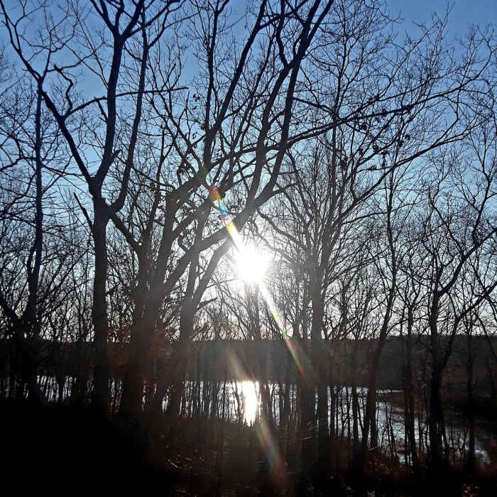 Afternoon sun on the pond. Near Woody Hill Loop