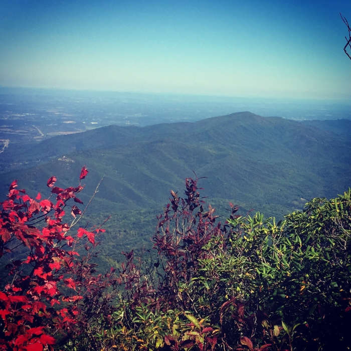This was taken from the rocks on the left just before reaching the fire tower! Incredible views! Near Mt. Cammerer from Low Gap