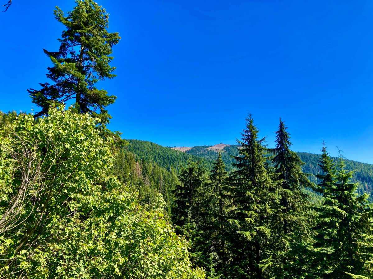 CDA-Hayden Lake View Route photo 3