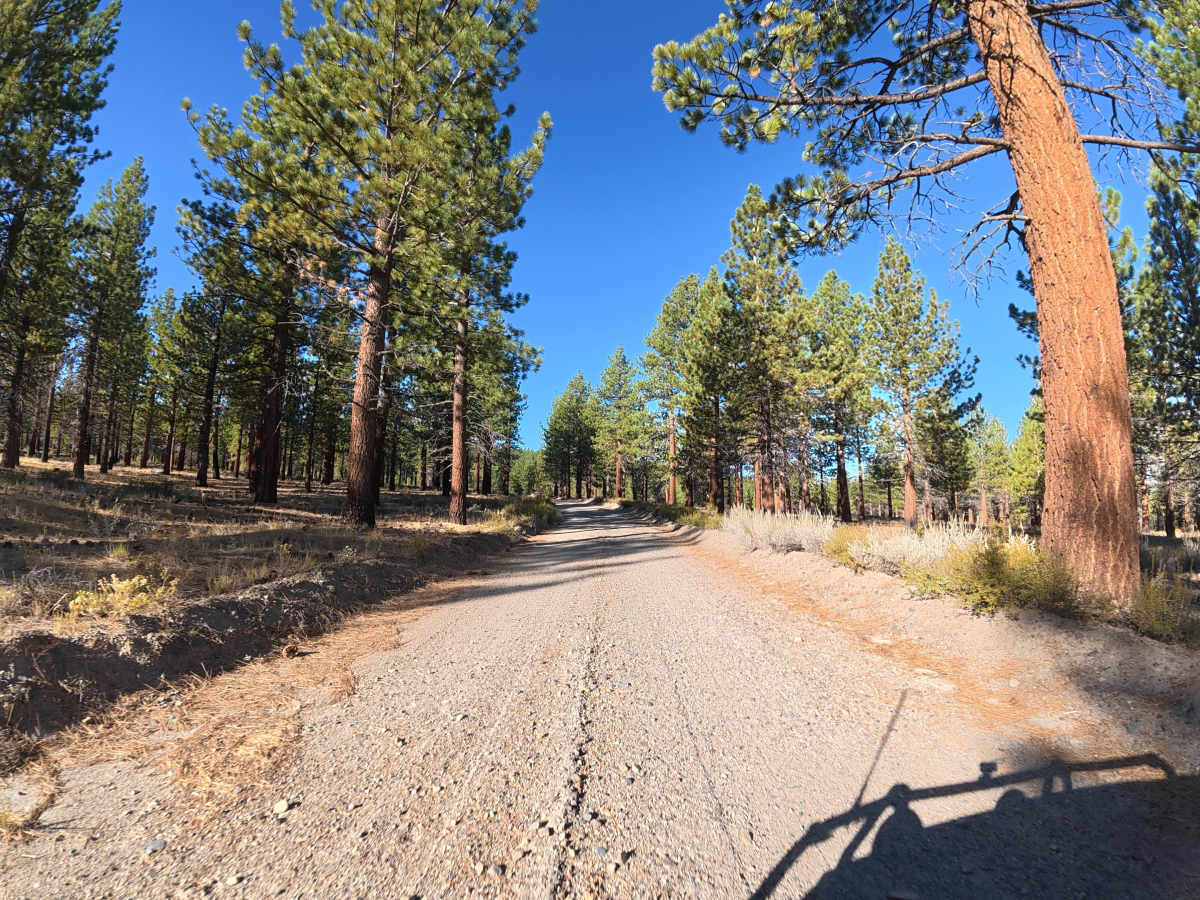 Logging Camp Road photo 5
