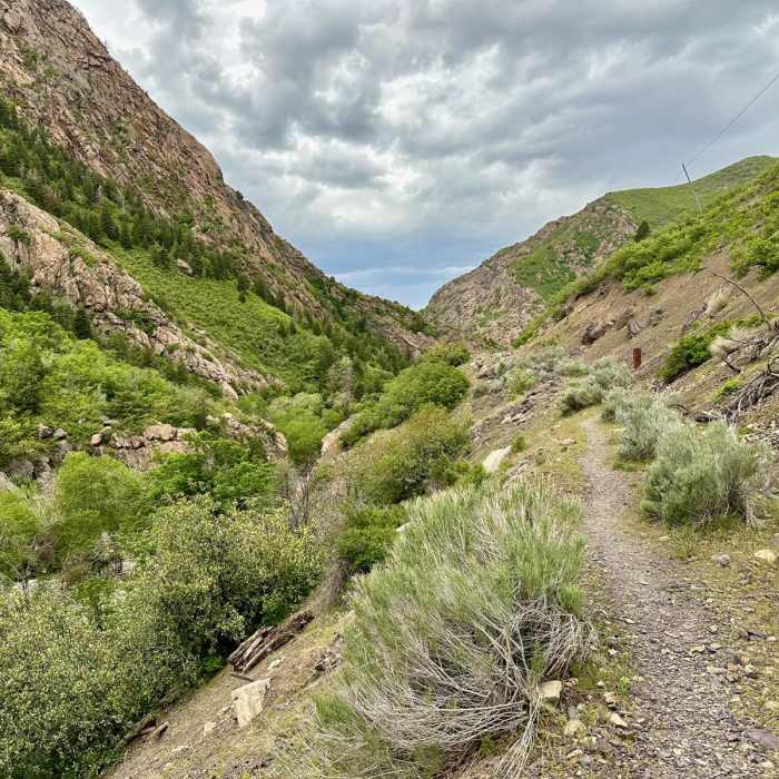 Near Granite Flume Trail