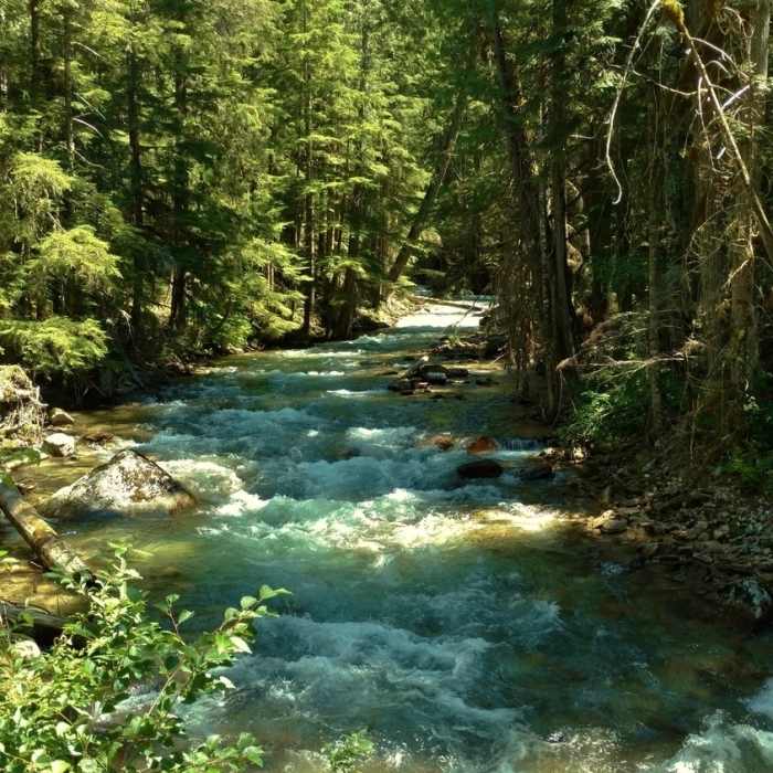 Near Thunder Creek Trail