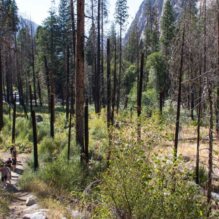 Near River Trail Hike, South Fork of the Kings River