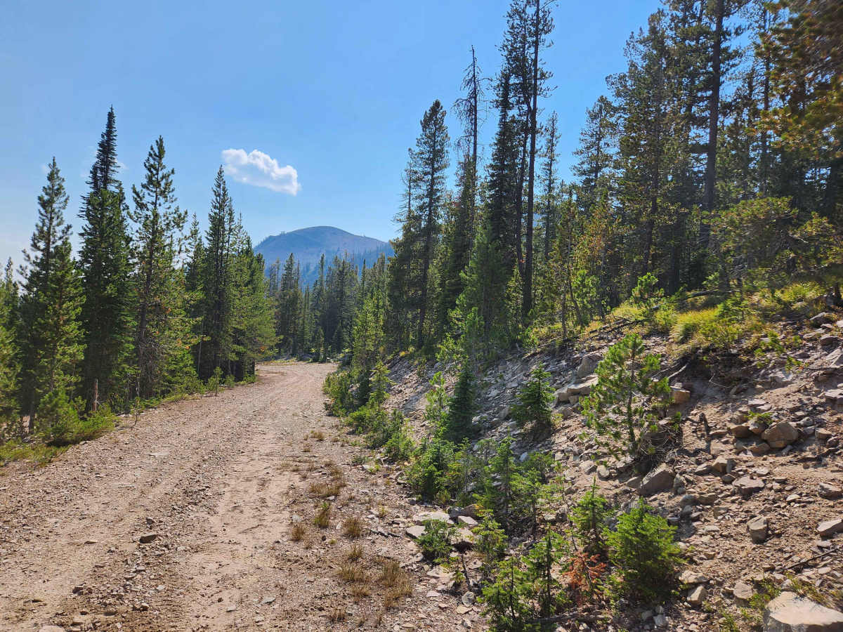 Emerine Trail photo 4
