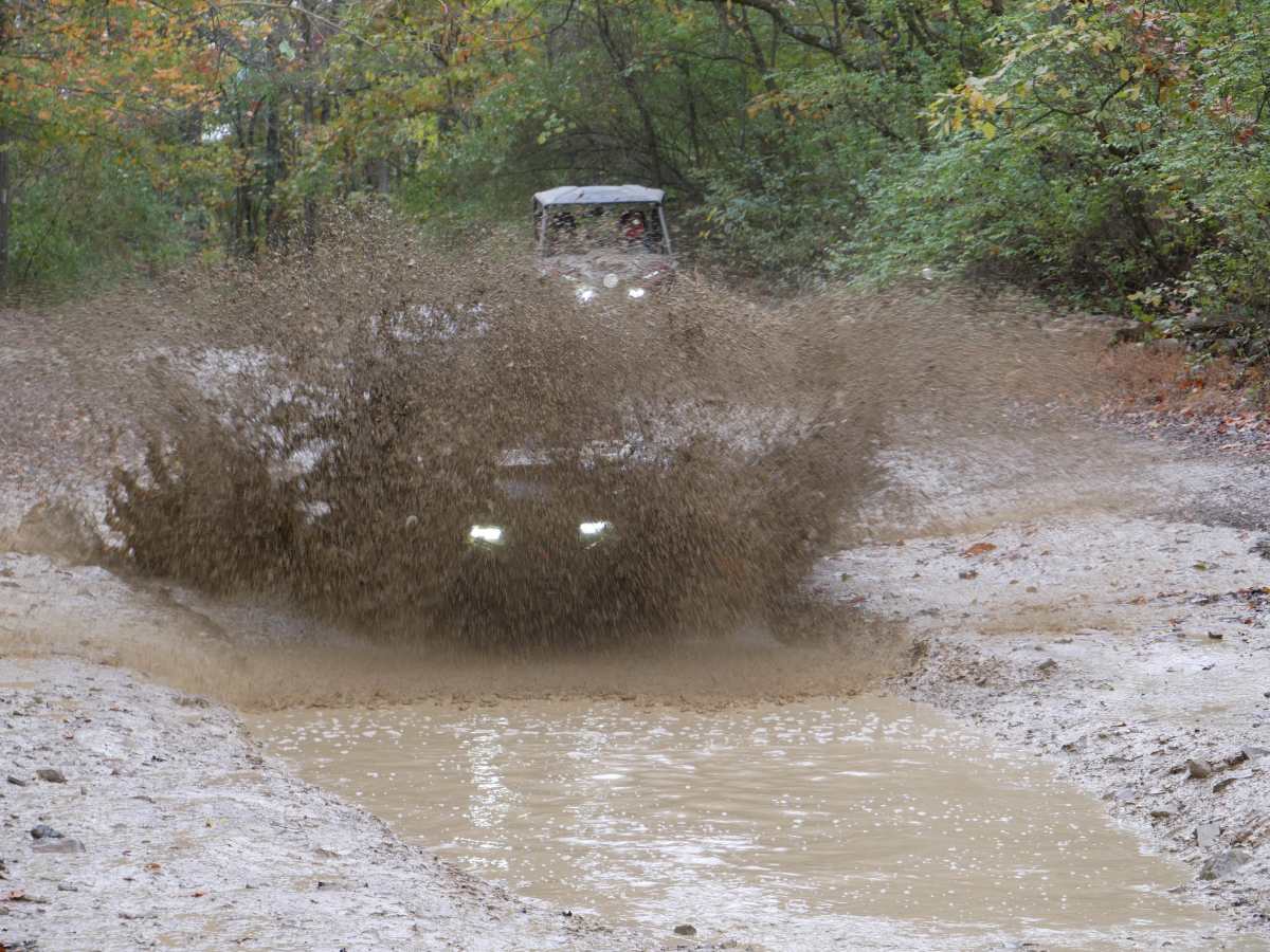Mud Bog trail photo