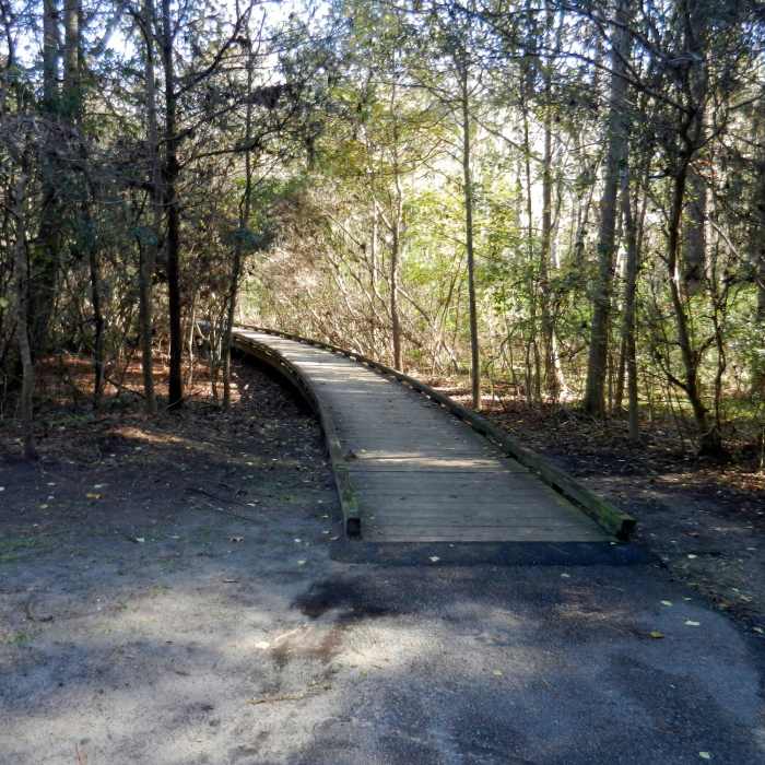 Short boardwalk for part of the loop. Near Jarvis Creek Leisure Loop