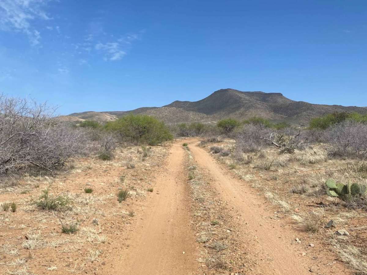 Jackrabbit Loop photo 4