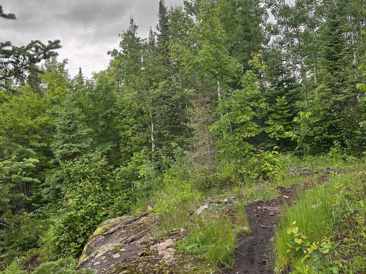 Alger Grade - Trail 7 photo 2