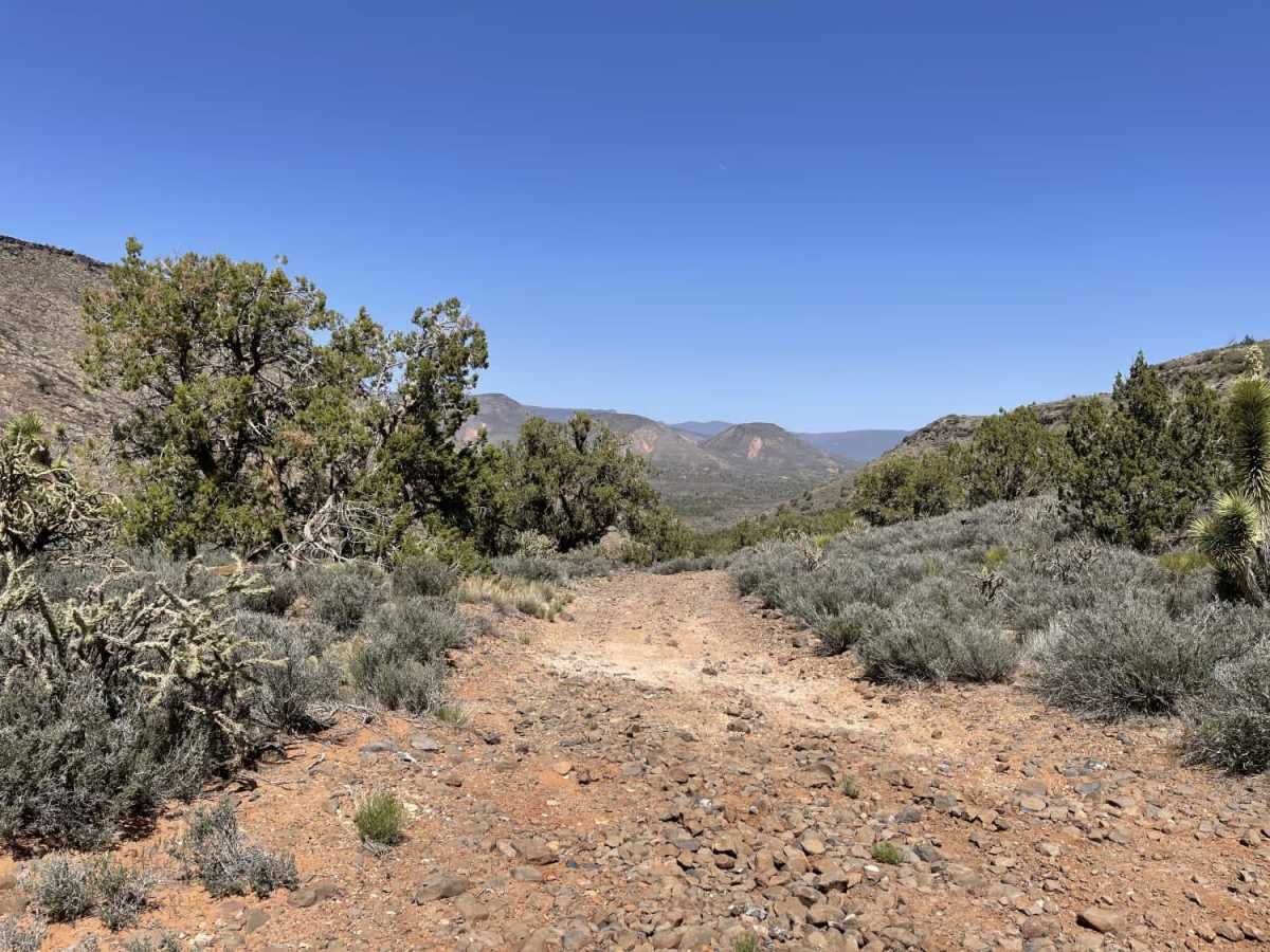 Coral Canyon photo 4