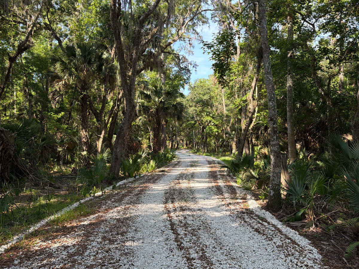 Dexter Point Road trail photo