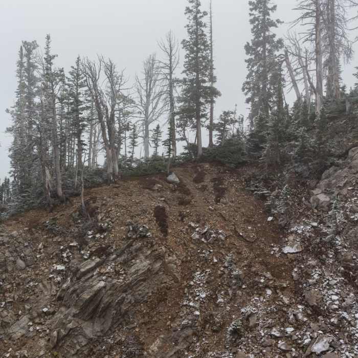 Near Hardscrabble Peak Near Hardscrabble Peak