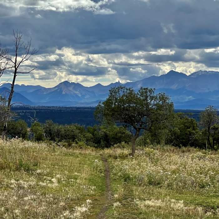 Near Clear Creek Trail