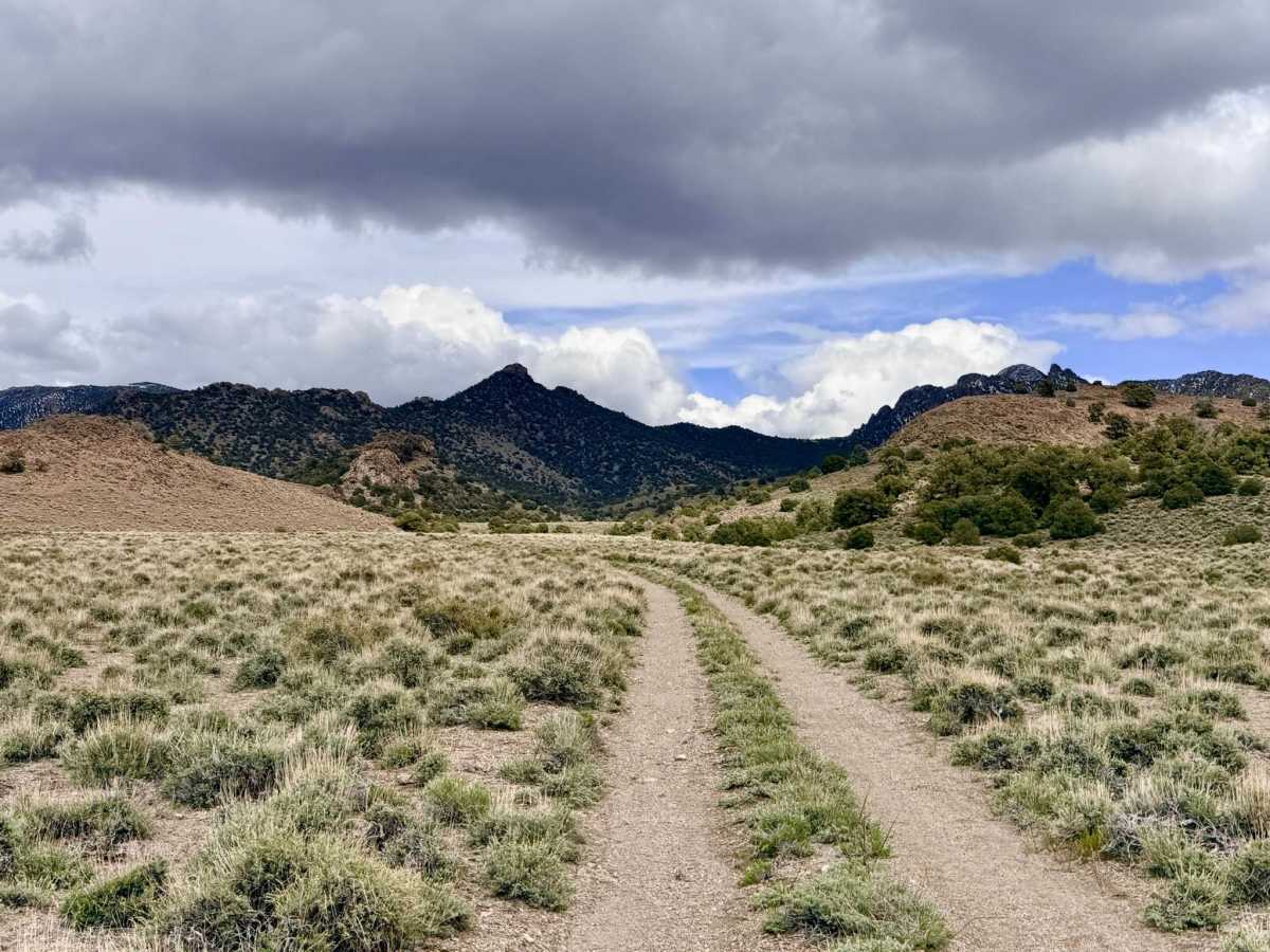 Boundary - FS 24204 trail photo