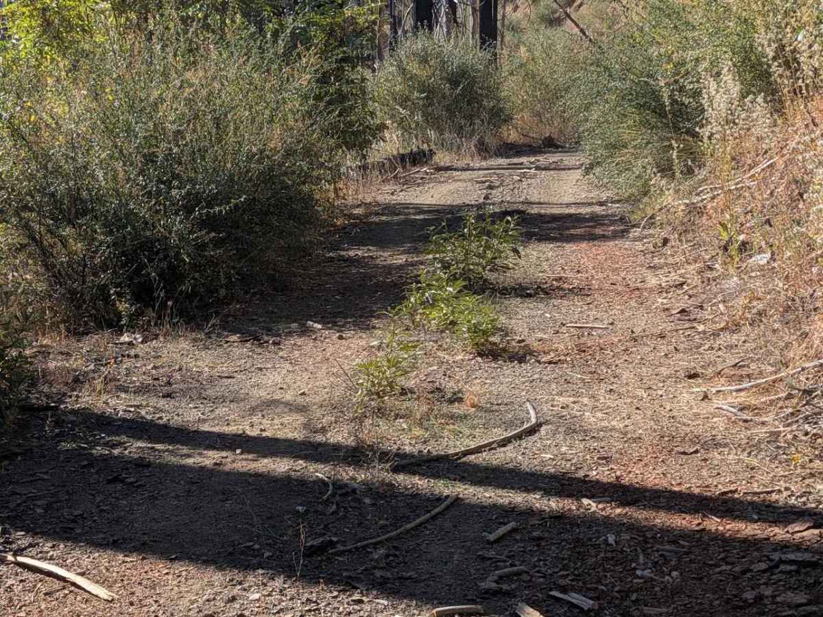Baker Flat Road - FS 29N41 photo 5