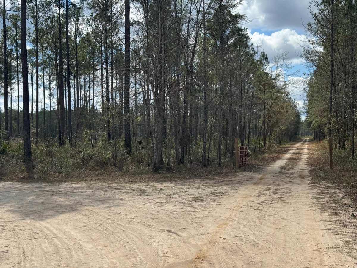 Hinson Road photo 3
