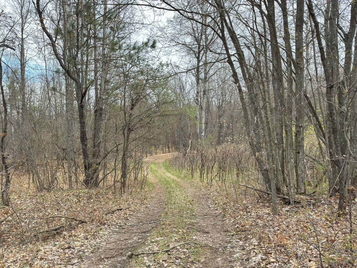 Wandering Trail photo 5