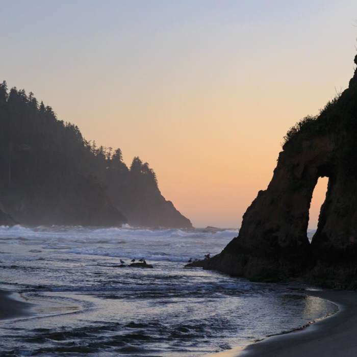 Near Oregon Coast Trail Section 4