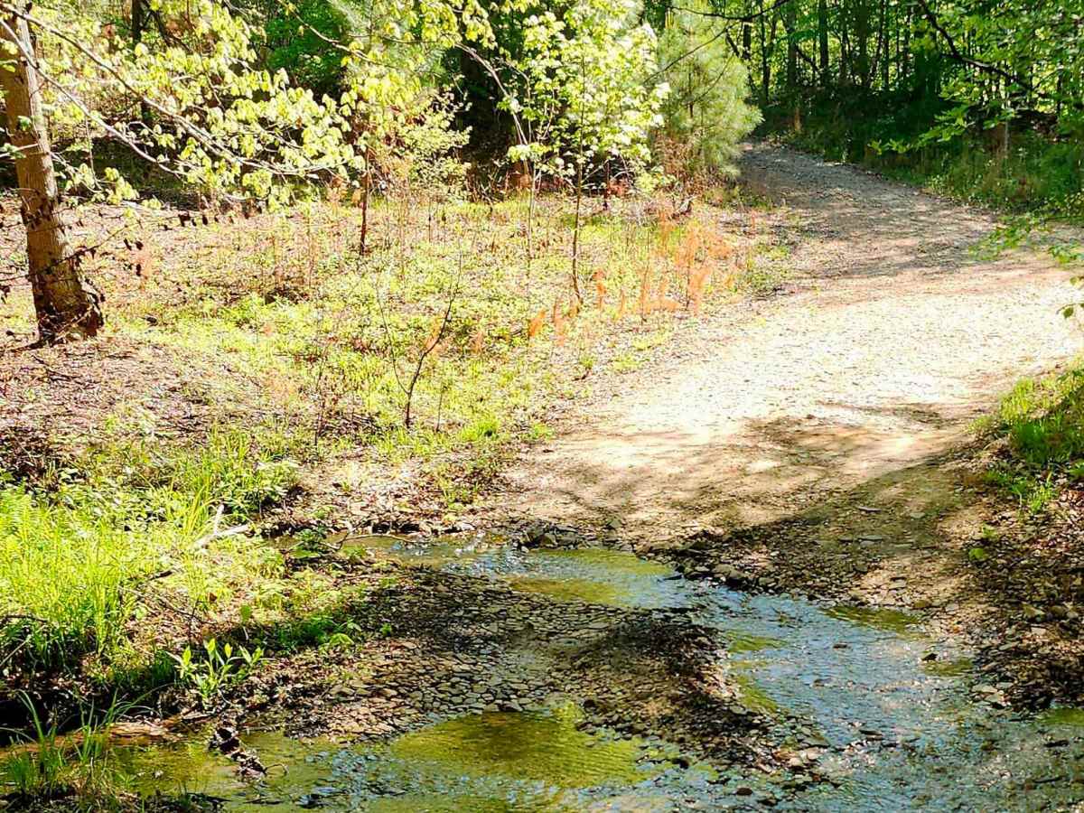 Alexander Hollow Trail photo 3
