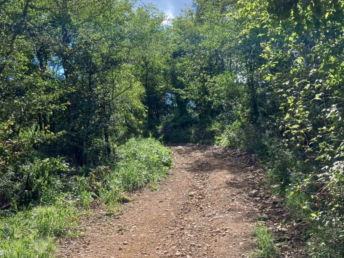 Hop Run - Rock Run Recreation Area photo 6