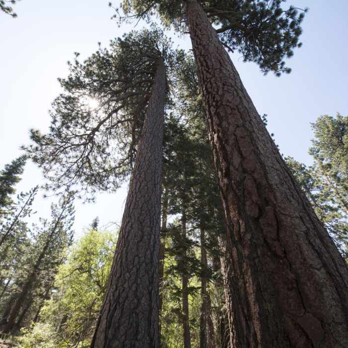 Near Grand View Point Hike