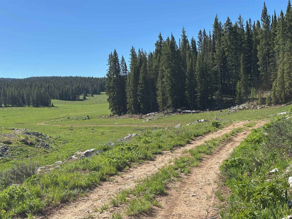 Bench Road trail photo