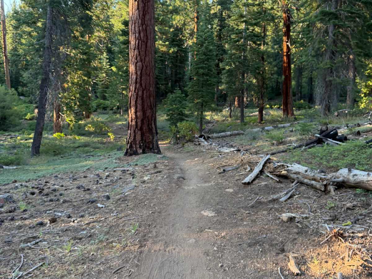 KB #2 trail photo