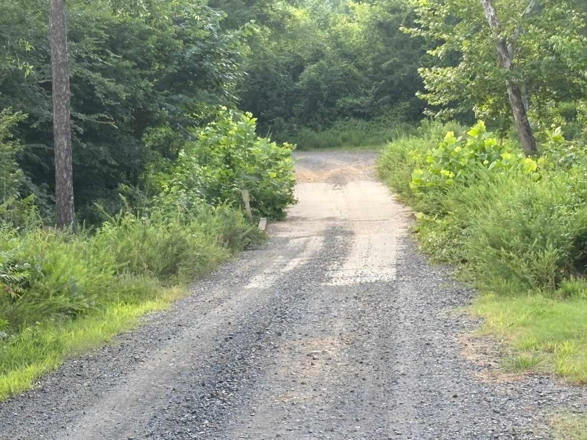 Lower Haw Creek Road photo 2