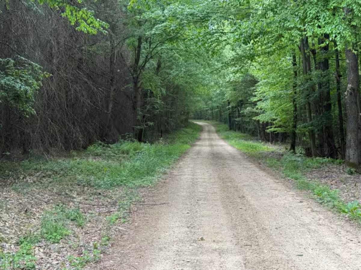 Irwin Run - FS 343 photo 2