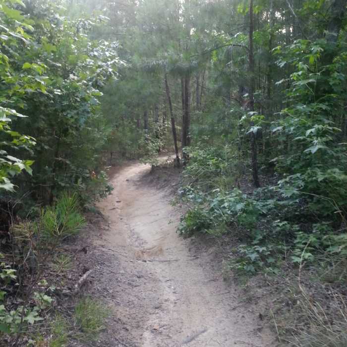 Near Harbison Long Loop