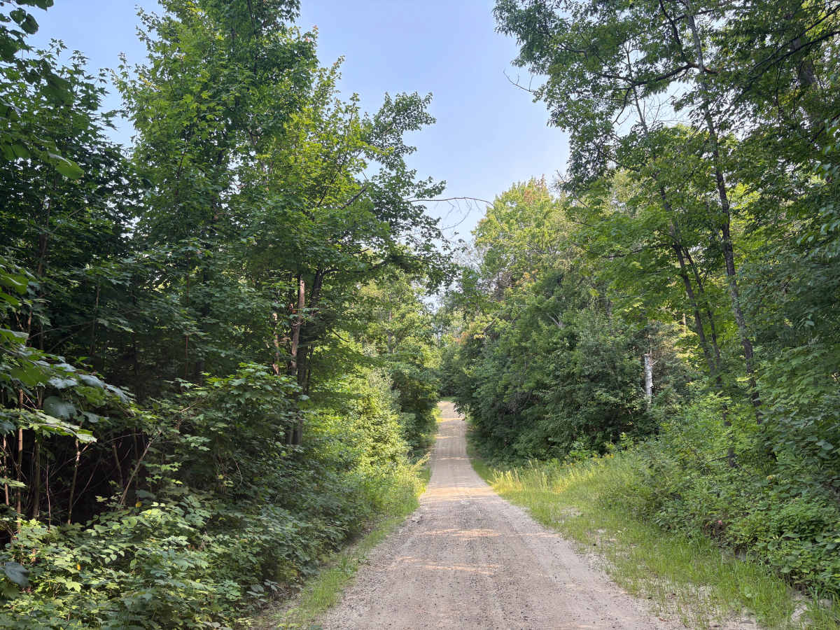 North Smokey Hills Forest Road photo 3