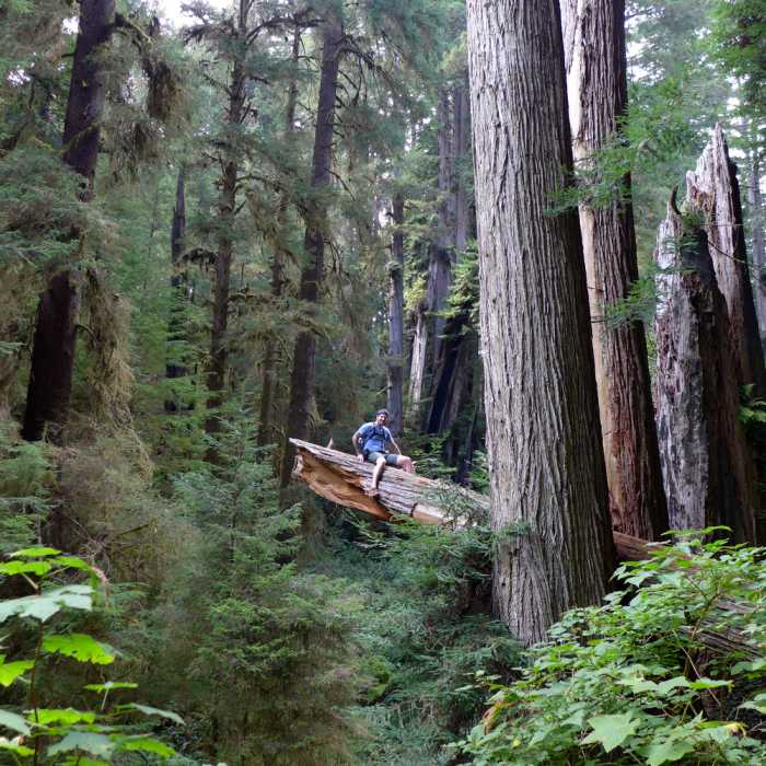 Near James Irvine to Fern Canyon