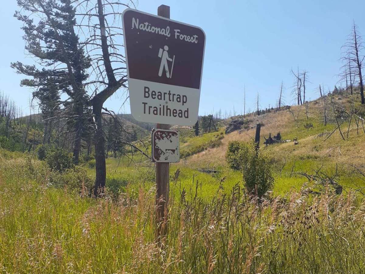 Bridger Creek Cruise photo 6