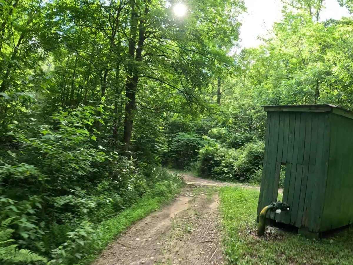 W3B trail photo