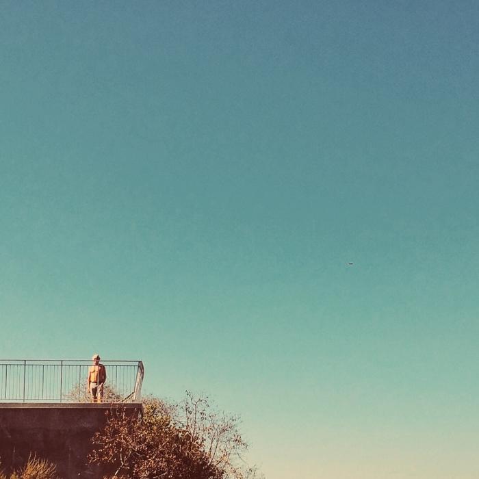 Near Hillside Trail (Baldwin Hills Overlook)