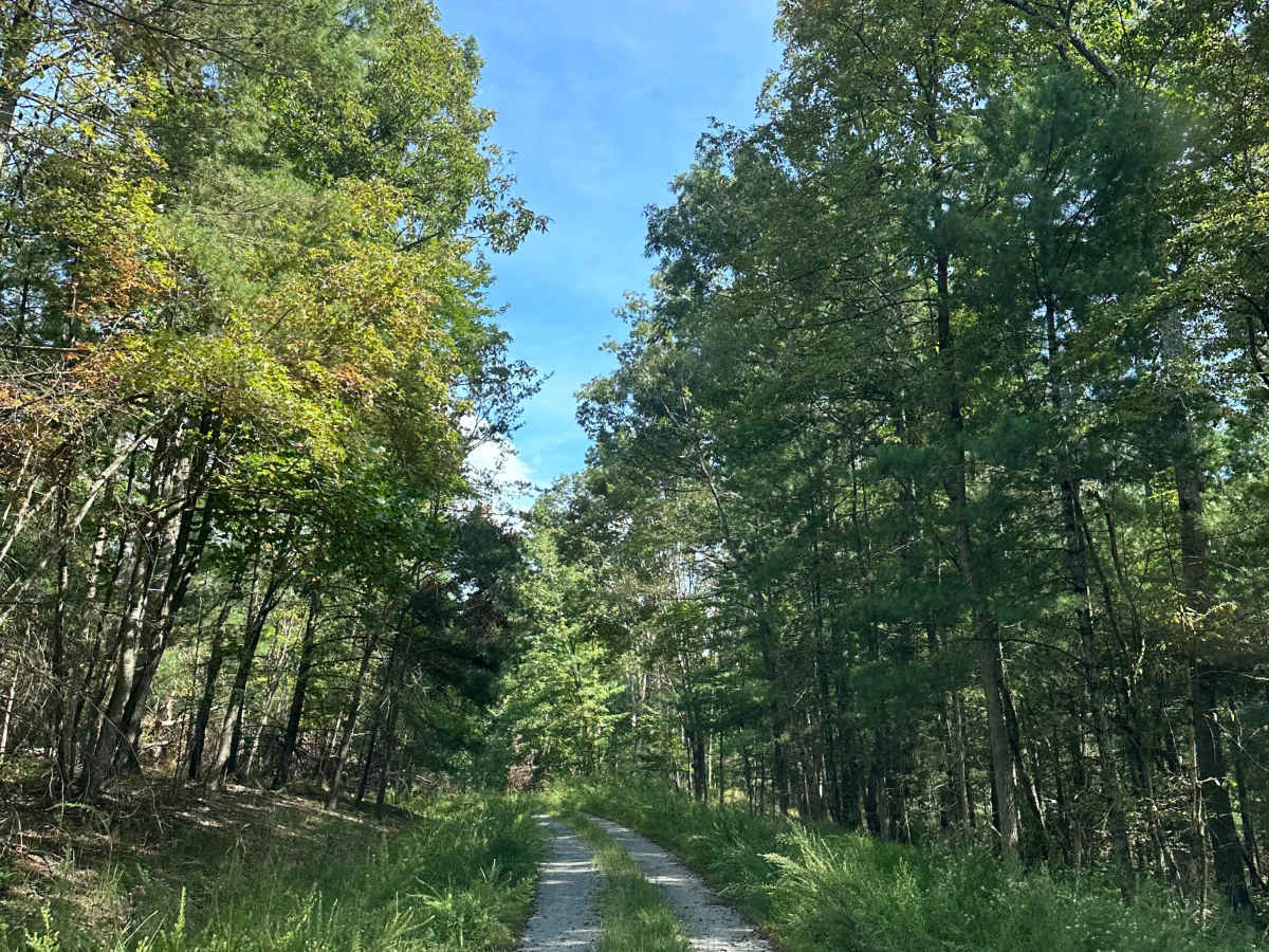 Whiting Tract photo 5