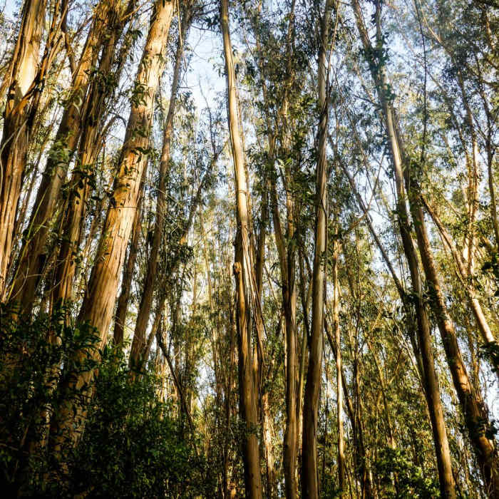 Near Jewel Lake Loop