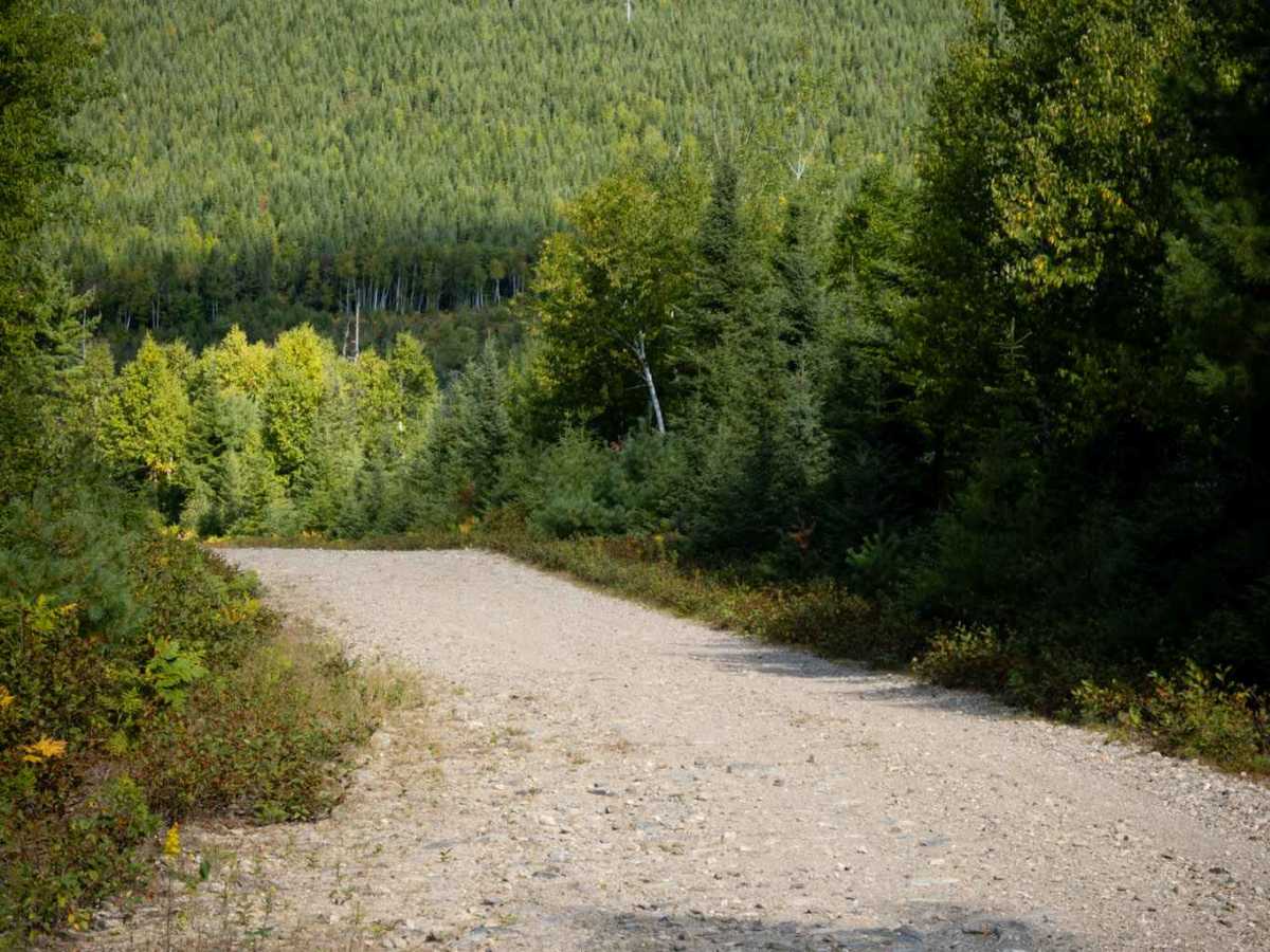 Whitebirch Road A - Trail 22 photo 4