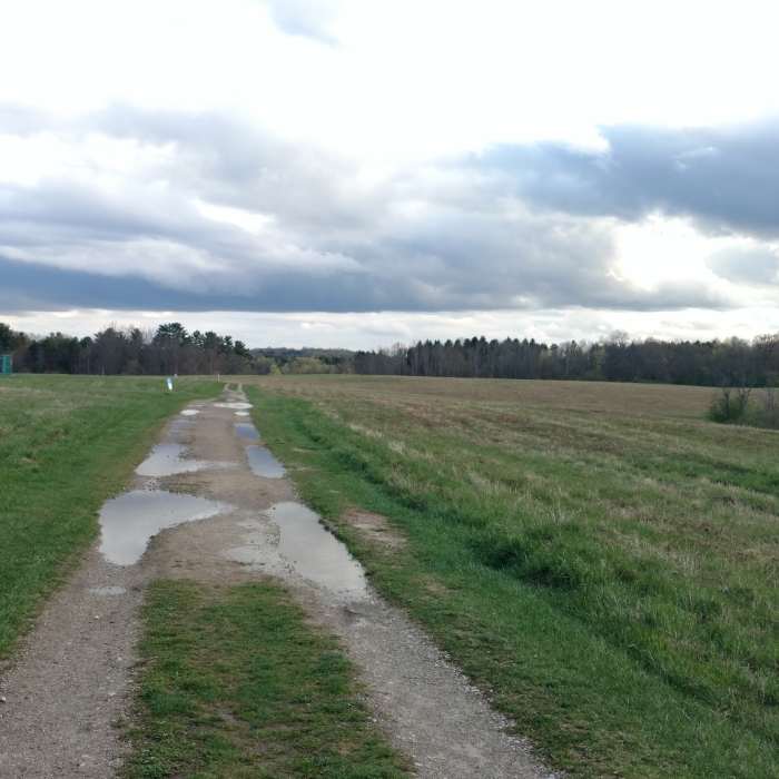 Bridal Trail field Near Bridle Trail