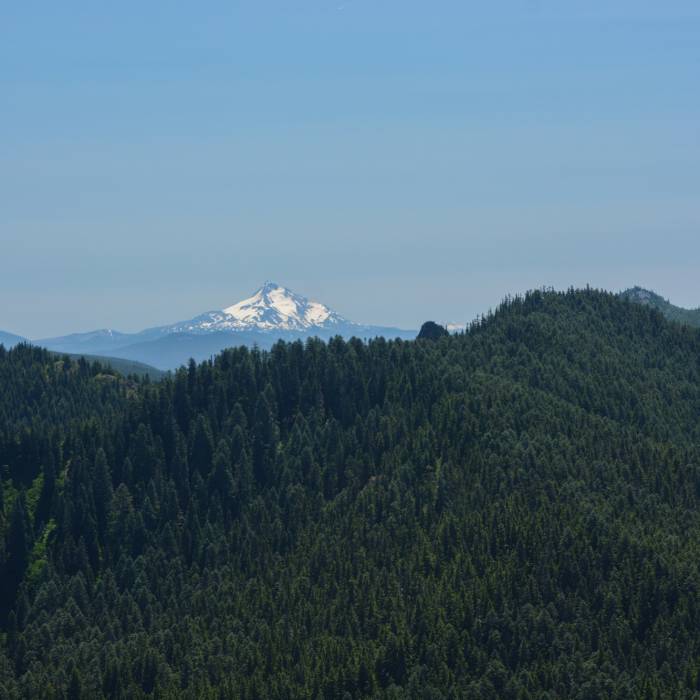 Near Salmon Butte Trail #791
