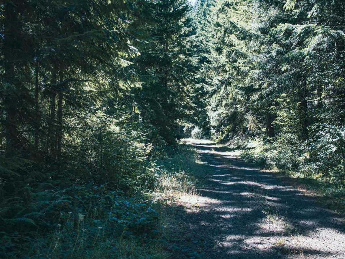 June Mountain photo 4