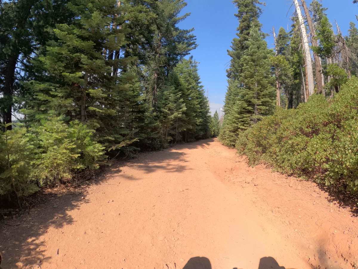 Little Poison Meadow - FS 6S099 photo 4