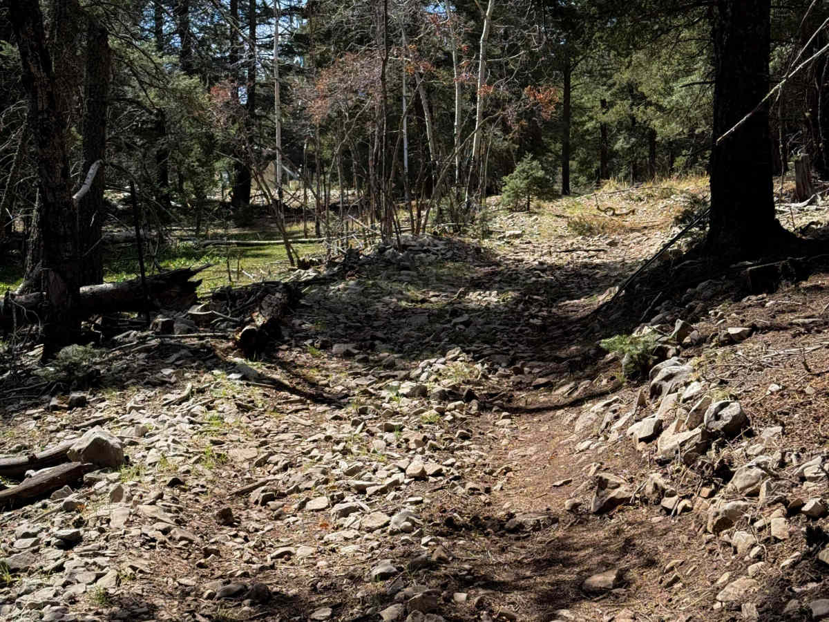 Zinker Canyon Trail  photo 4