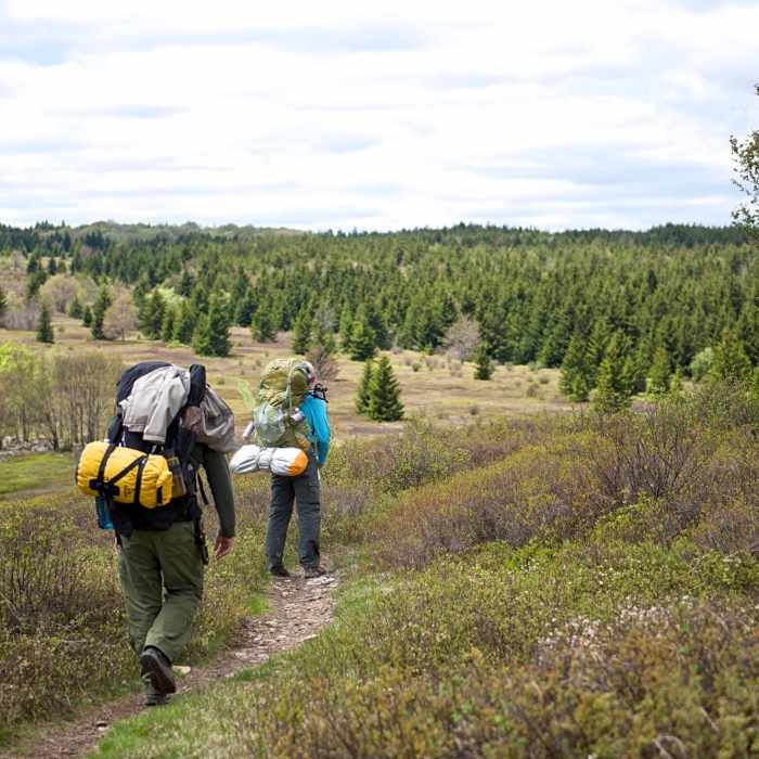 Bear Rocks trail Near Dolly Sods Challenge Hike - circumnavigation