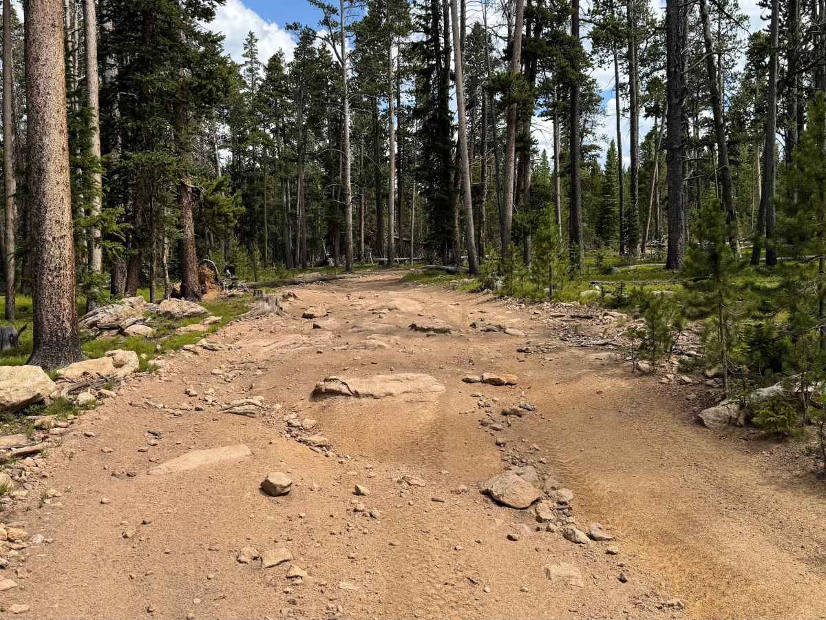 Forest Service Road 318.A photo 6