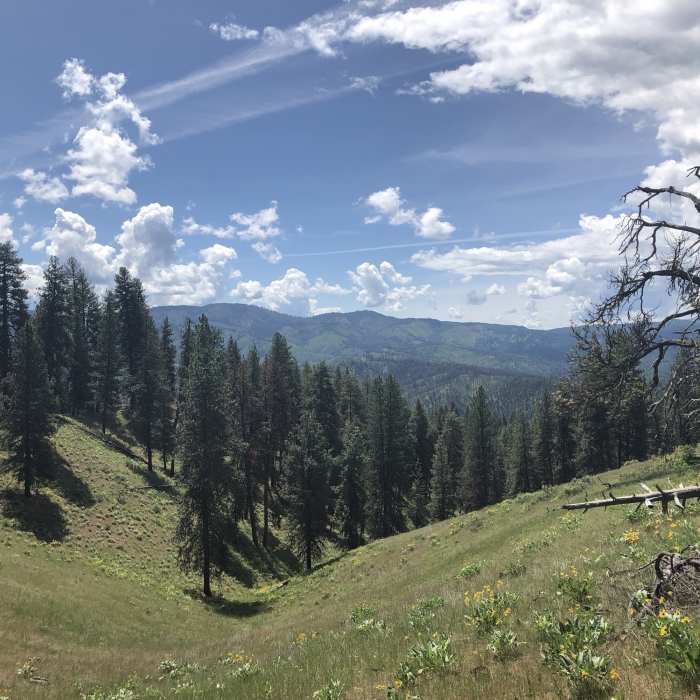 Near Station Creek to Bald Mountian